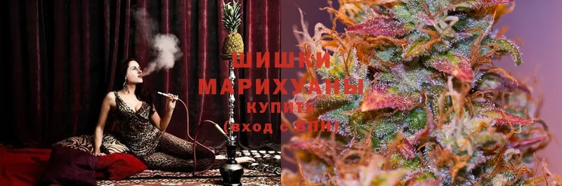 Бошки марихуана OG Kush  Бокситогорск 